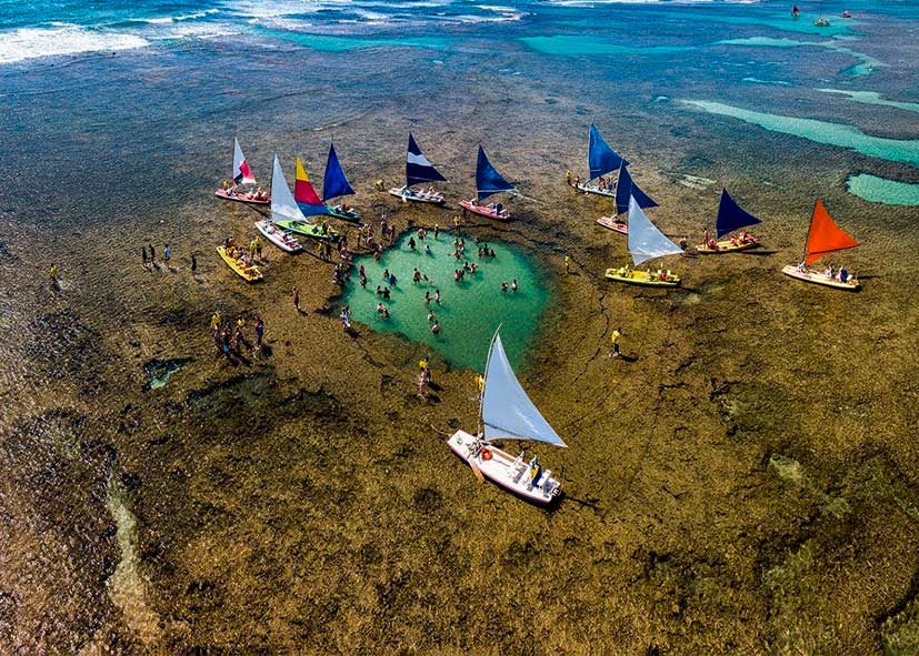 Passeio aéreo em Porto de Galinhas